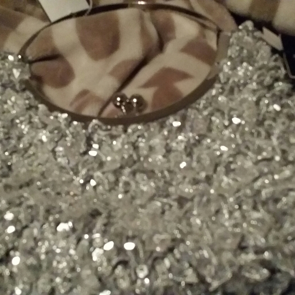 Elegant Evening Purse